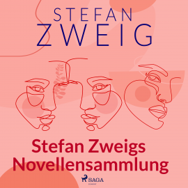 Hörbuch Stefan Zweigs Novellensammlung  - Autor Stefan Zweig   - gelesen von Reiner Unglaub