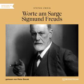 Hörbuch Worte am Sarge Sigmund Freuds (Ungekürzt)  - Autor Stefan Zweig   - gelesen von Peter Bocek