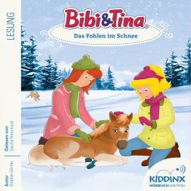 Hörbuch Das Fohlen im Schnee - Bibi & Tina - Hörbuch, Folge 9 (Ungekürzt)  - Autor Stephan Gürtler   - gelesen von Sascha Rotermund