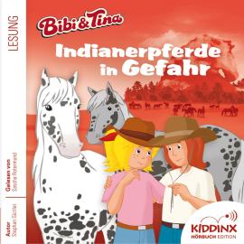 Hörbuch Indianerpferde in Gefahr - Bibi & Tina - Hörbuch, Folge 6 (Ungekürzt)  - Autor Stephan Gürtler   - gelesen von Sascha Rotermund