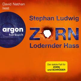 Hörbuch Lodernder Hass - Zorn, Band 7 (Ungekürzte Lesung)  - Autor Stephan Ludwig   - gelesen von David Nathan