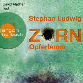 Hörbuch Opferlamm - Zorn, Band 11 (Ungekürzt)  - Autor Stephan Ludwig   - gelesen von David Nathan