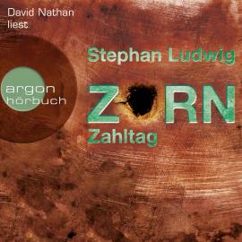 Hörbuch Zahltag - Zorn, Band 10 (Ungekürzt)  - Autor Stephan Ludwig   - gelesen von David Nathan