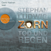 Hörbuch Zorn - Tod und Regen  - Autor Stephan Ludwig   - gelesen von David Nathan