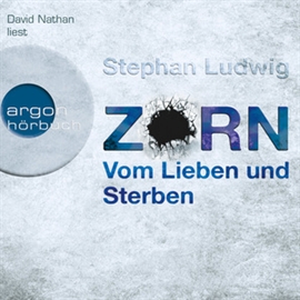 Hörbuch Zorn - Vom Lieben und Sterben  - Autor Stephan Ludwig   - gelesen von David Nathan