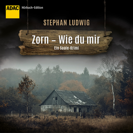Hörbuch Zorn - Wie du mir  - Autor Stephan Ludwig   - gelesen von David Nathan
