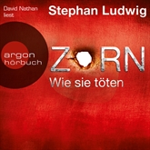 Hörbuch Zorn - Wie sie töten  - Autor Stephan Ludwig   - gelesen von David Nathan
