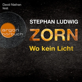 Hörbuch Zorn - Wo kein Licht  - Autor Stephan Ludwig   - gelesen von David Nathan