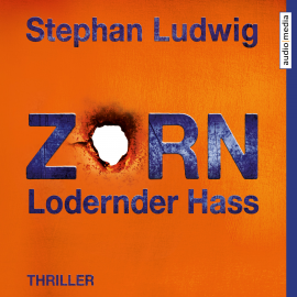 Hörbuch Zorn 7 – Lodernder Hass  - Autor Stephan Ludwig   - gelesen von David Nathan