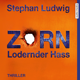 Hörbuch Zorn: Lodernder Hass (Zorn 7)  - Autor Stephan Ludwig   - gelesen von David Nathan