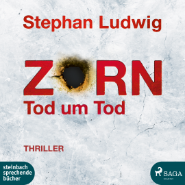 Hörbuch Zorn  - Autor Stephan Ludwig   - gelesen von David Nathan
