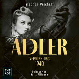 Hörbuch Adler - Verdunklung 1940  - Autor Stephan Weichert   - gelesen von Schauspielergruppe