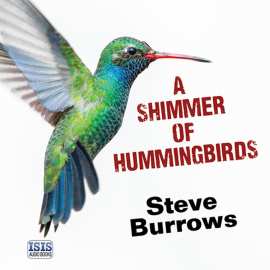 Hörbuch Shimmer of Hummingbirds, A  - Autor Steve Burrows   - gelesen von David Thorpe