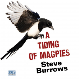 Hörbuch Tiding of Magpies, A  - Autor Steve Burrows   - gelesen von David Thorpe