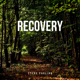 Hörbuch Recovery  - Autor Steve Pavlina   - gelesen von Florian Höper