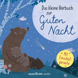 Hörbuch Das kleine Hörbuch zur Guten Nacht (Ungekürzte Lesung mit Musik)  - Autor Stijn Moekaars, Mascha Kaléko, Fredrik Vahle, Theodor Storm, Christian Morgenstern, Gina Ruck-Pauquet, Ulrich Steier, Heinrich Hannover   - gelesen von Schauspielergruppe