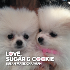 Hörbuch Love, Sugar and Cookie  - Autor Susan Marie Chapman   - gelesen von Casey Holloway