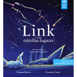 Hörbuch Link y las estrellas fugaces  - Autor Susana Balán   - gelesen von Ana María Bovo
