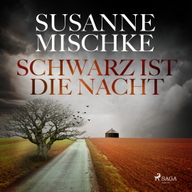 Hörbuch Schwarz ist die Nacht  - Autor Susanne Mischke   - gelesen von Schauspielergruppe