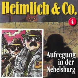 Hörbuch Aufregung in der Nebelsburg (Heimlich & Co. 4)  - Autor Susanne Schindler-Günther   - gelesen von Susanne Schindler-Günther