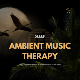 Hörbuch SLEEP: Ambient Music Therapy  - Autor The Sleep Sounds Academy   - gelesen von The Sleep Sounds Academy