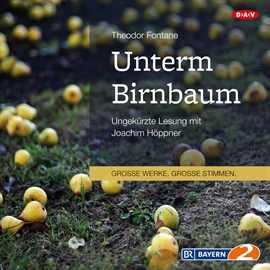 Hörbuch Unterm Birnbaum  - Autor Theodor Fontane   - gelesen von Joachim Höppner