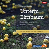 Hörbuch Unterm Birnbaum  - Autor Theodor Fontane   - gelesen von Joachim Höppner