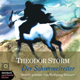 Hörbuch Der Schimmelreiter   - Autor Theodor Storm   - gelesen von Wolfgang Büttner