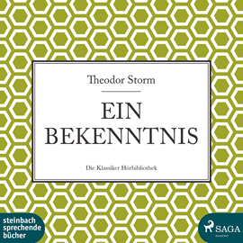Hörbuch Ein Bekenntnis  - Autor Theodor Storm   - gelesen von Michael Wilhelm Noss