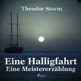 Hörbuch Eine Halligfahrt - Eine Meistererzählung  - Autor Theodor Storm.   - gelesen von Helmut Wöstmann.