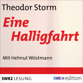Hörbuch Eine Halligfahrt  - Autor Theodor Storm   - gelesen von Helmut Wöstmann