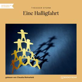 Hörbuch Eine Halligfahrt (Ungekürzt)  - Autor Theodor Storm   - gelesen von Claudia Rohnefeld