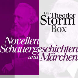 Hörbuch Novellen, Schauergeschichten und Märchen  - Autor Theodor Storm   - gelesen von Jürgen Fritsche