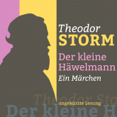 Theodor Storm: Der kleine Häwelmann