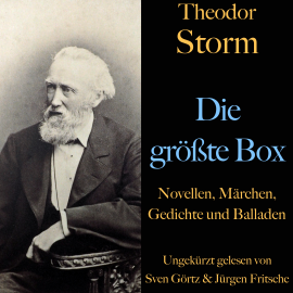 Hörbuch Theodor Storm: Die größte Box  - Autor Theodor Storm   - gelesen von Jürgen Fritsche