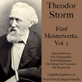 Hörbuch Theodor Storm: Fünf Meisterwerke, Vol. 2  - Autor Theodor Storm   - gelesen von Schauspielergruppe