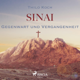 Sinai - Gegenwart und Vergangenheit (Ungekürzt)