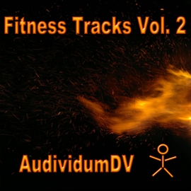 Hörbuch Fitness Tracks, Vol. 2  - Autor Thomas Baehrle   - gelesen von AudividumDV