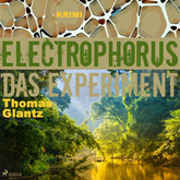 Electrophorus - Das Experiment