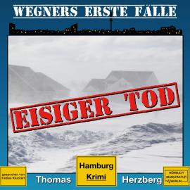 Hörbuch Eisiger Tod - Wegners erste Fälle - Hamburg Krimi, Band 1 (ungekürzt)  - Autor Thomas Herzberg   - gelesen von Fabian Kluckert