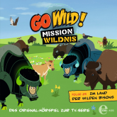 Folge 25: Im Land der wilden Bisons (Das Original-Hörspiel zur TV-Serie)