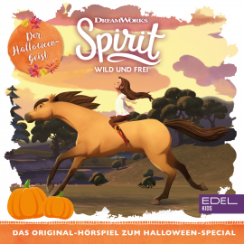 Hörbuch Halloween - Special (Das Original-Hörspiel zum Special)  - Autor Thomas Karallus   - gelesen von Schauspielergruppe