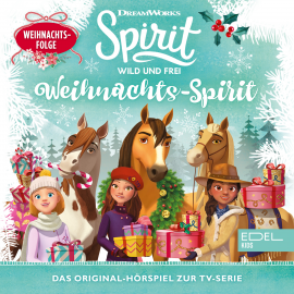 Hörbuch Weihnachts-Spirit (Das Original-Hörspiel zur TV-Serie)  - Autor Thomas Karallus   - gelesen von Schauspielergruppe