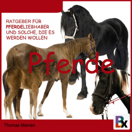 Hörbuch Ratgeber für Pferde-Liebhaber und solche, die es werden wollen  - Autor Thomas Meinen   - gelesen von Thomas Meinen