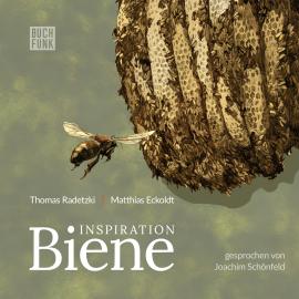 Hörbuch Inspiration Biene  - Autor Thomas Radetzki, Matthias Eckoldt   - gelesen von Joachim Schönfeld