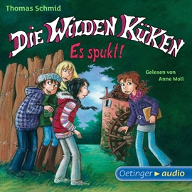 Hörbuch Die Wilden Küken - Es spukt! (Teil 4)  - Autor Thomas Schmid   - gelesen von Anne Moll