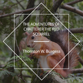 Hörbuch The Adventures of Chatterer the Red Squirrel  - Autor Thornton W. Burgess   - gelesen von Jude Somers