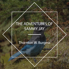 Hörbuch The Adventures of Sammy Jay  - Autor Thornton W. Burgess   - gelesen von Rachel