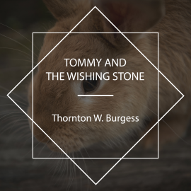Hörbuch Tommy and the Wishing Stone  - Autor Thornton W. Burgess   - gelesen von SweetHome