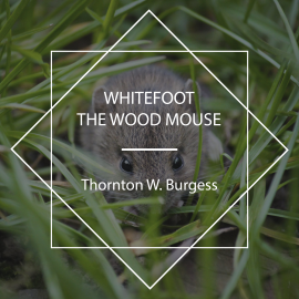 Hörbuch Whitefoot the Wood Mouse  - Autor Thornton W. Burgess   - gelesen von Jill Engle